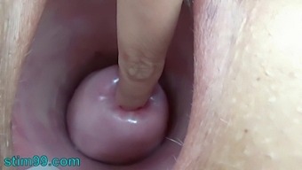 یک زن آلمانی با گزنه و گل های میله ای درگیر شکاف شدید و Bdsm است